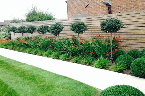 Garden Maintenance | Garden Maintenance in Sri Lanka & Maldives